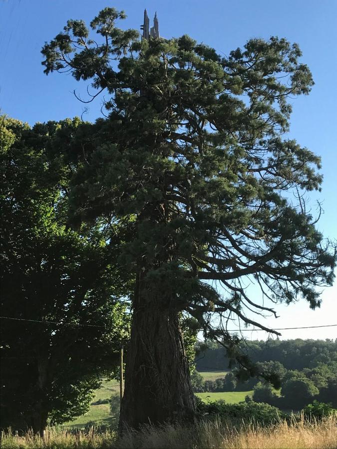 Le Cottage Du Sequoia Chamberet ภายนอก รูปภาพ